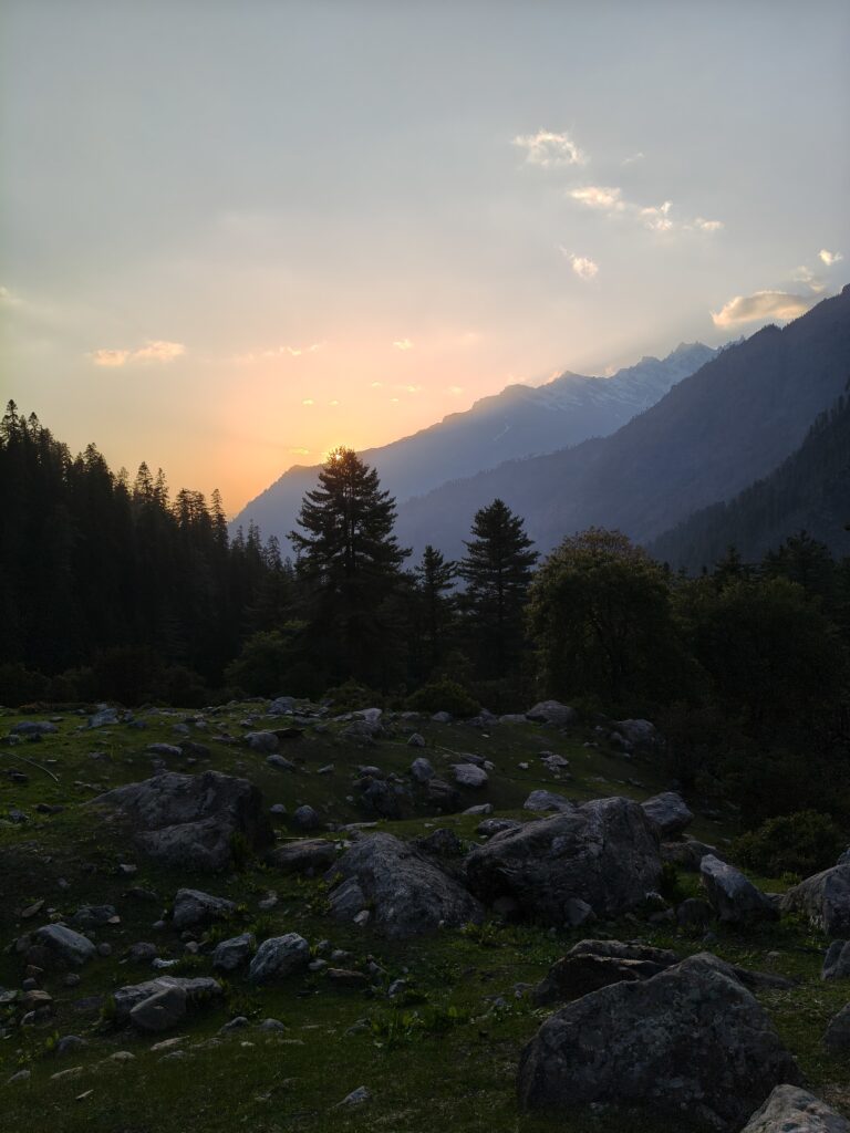 IMG20260517184302.jpg