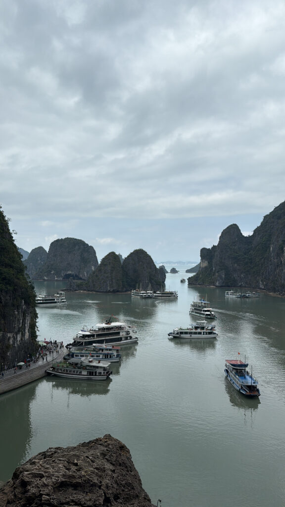 HA LONG BAY - DAYNIGHT CRUISE