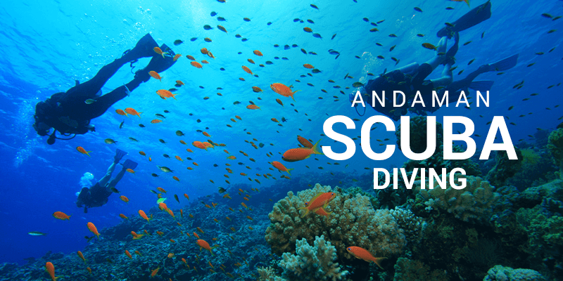 Scuba diving destinations in Andamans