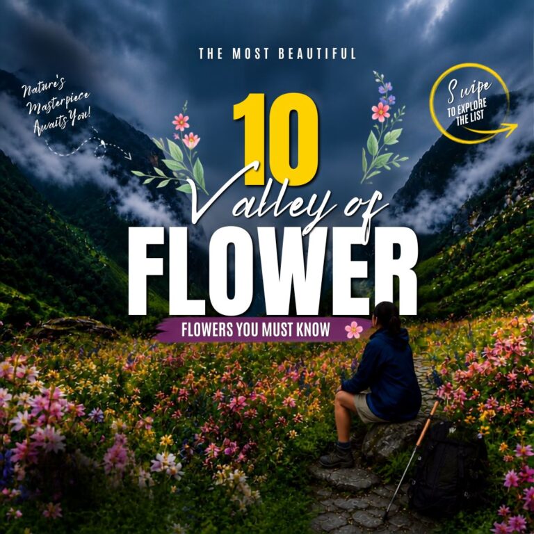 10 Blooms You Will Find on the Trek and Everything You Need to Know About Them