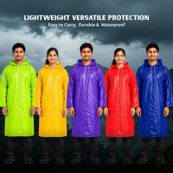 P4 P4